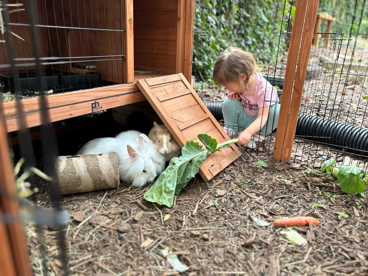 A child feeding the rabbits